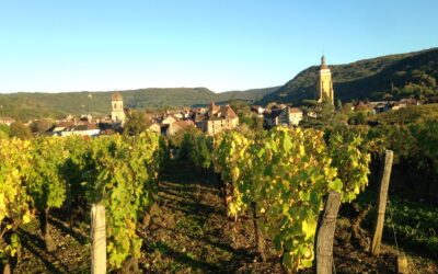 Arbois, dans les pas de Louis Pasteur