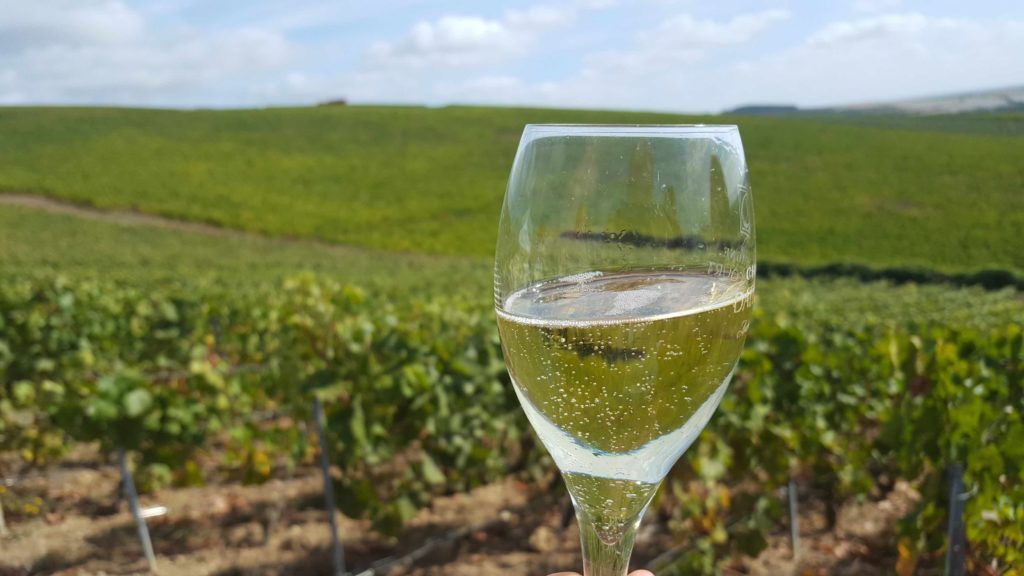  Epernay,cité du champagne/aufildeslieux.fr/ Trinquer avec les vignes©K.Hibbs