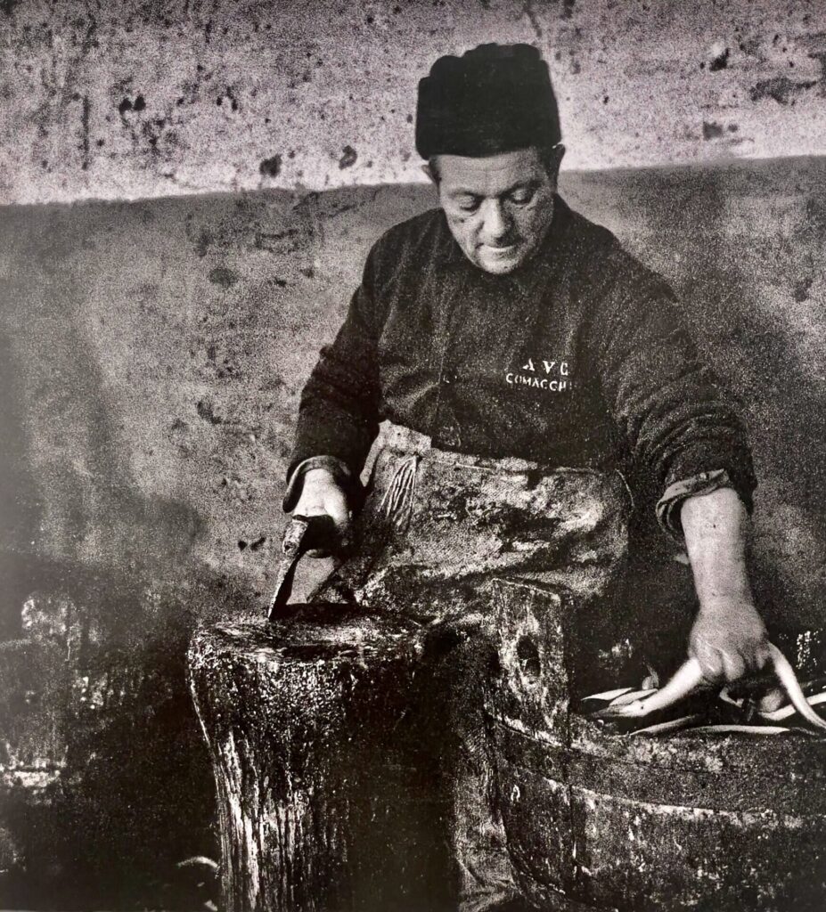  De Ferrare au delta du Pô/www.aufildeslieux.fr/ Un pêcheur coupant la tête d'anguilles fraîches à la conserverie de Comacchio. Photo d'archive ©Manifattura dei Marinati