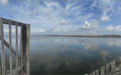 De Ferrare au delta du Pô