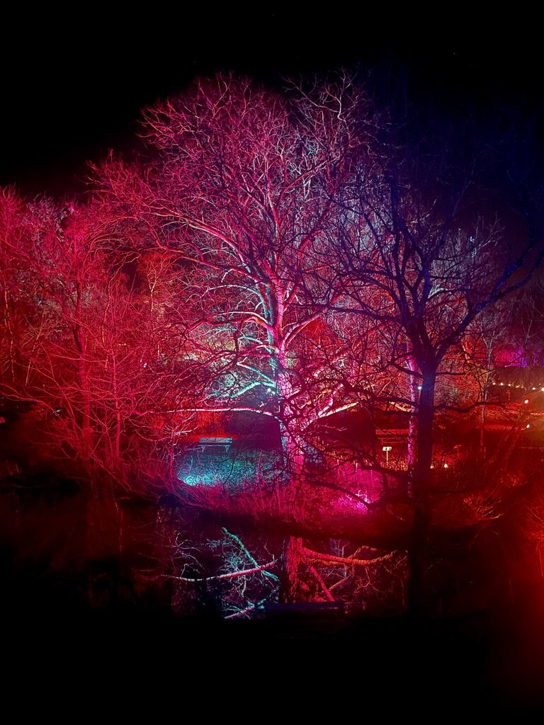 48 heures dans l'Ain pour un parcours d'excellence/www.aufildeslieux.fr/ Les Nuits du Parc-Saison 2- Allée illuminée -Photo © K.HIBBS