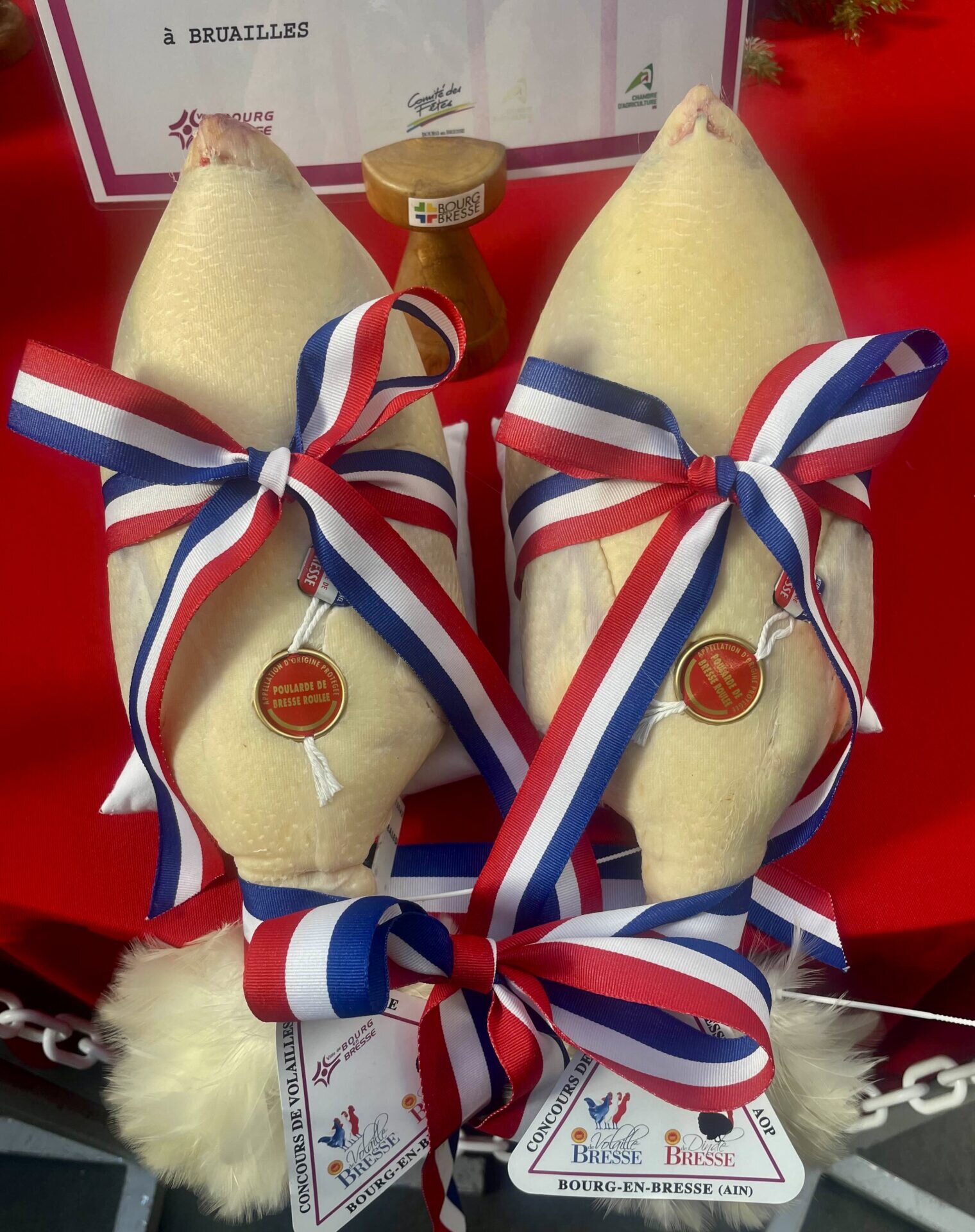 48 heures dans l'Ain pour un parcours d'excellence/www.aufildeslieux.fr/ Concours de volaille fine des Glorieuses, édition décembre 2025- Photo © K.HIBBS