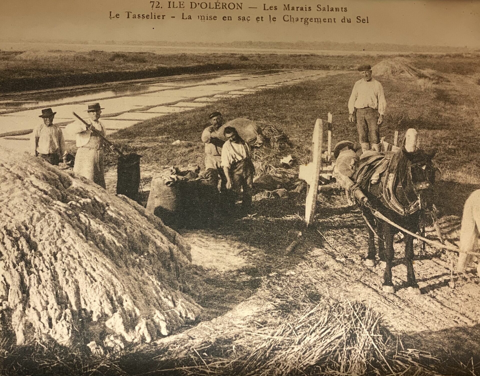 Oléron, l'île des savoir-faire/www.aufildeslieux.fr/ Carte postale ancienne de la mise en sac et du chargement du sel