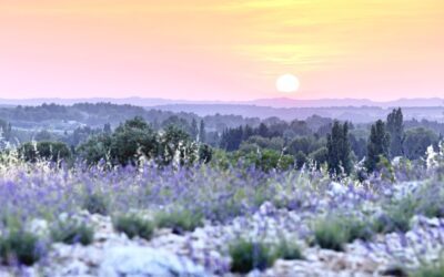 Jean Mus, Le bonheur de vivre