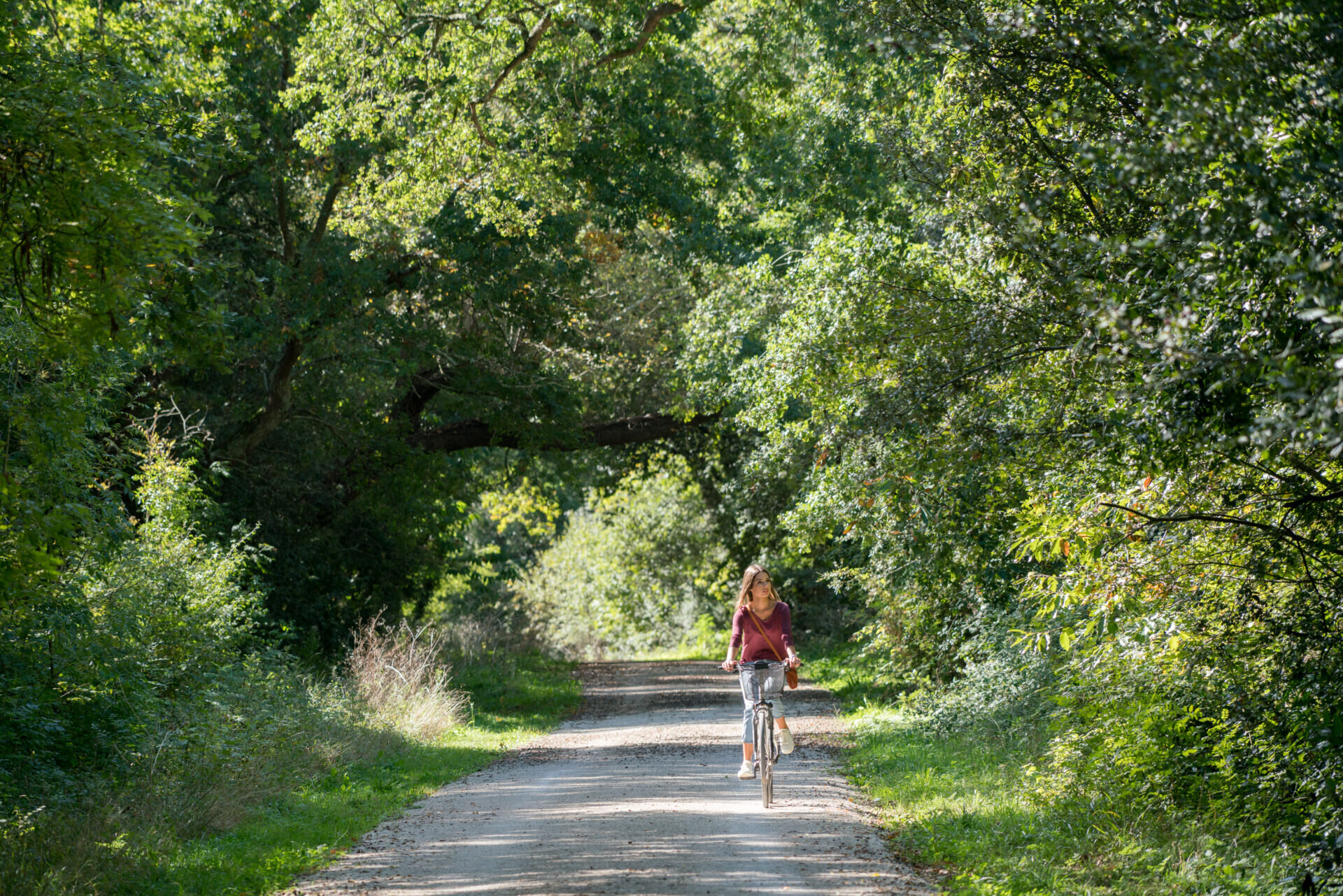 Oléron, l'île des savoir-faire/www.aufildeslieux.fr/ Vélo_Forêt©Thierry Richard