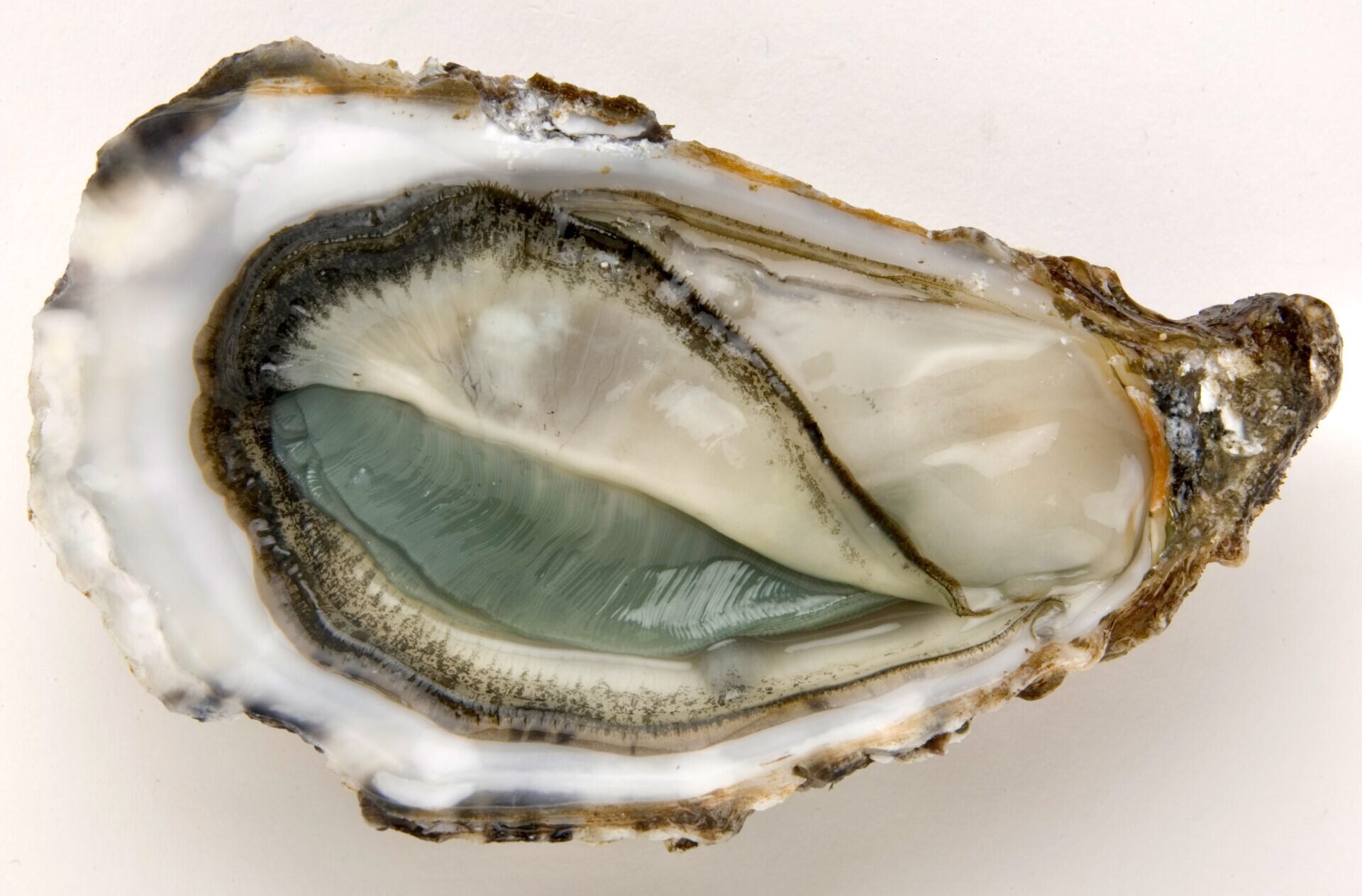 Oléron, l'île des savoir-faire/www.aufildeslieux.fr/ Huître fine de claire label rouge © LAVAL