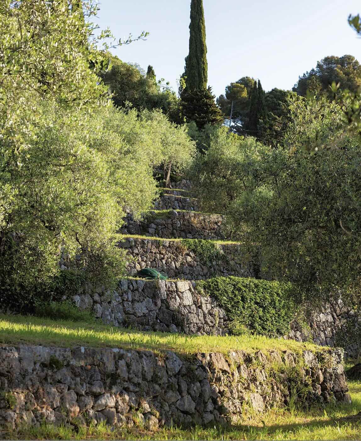 Jean Mus, Le bonheur de vivre/www.aufildeslieux.fr/Restanques du domaine de la Croix-Grasse © Matteo Carassale