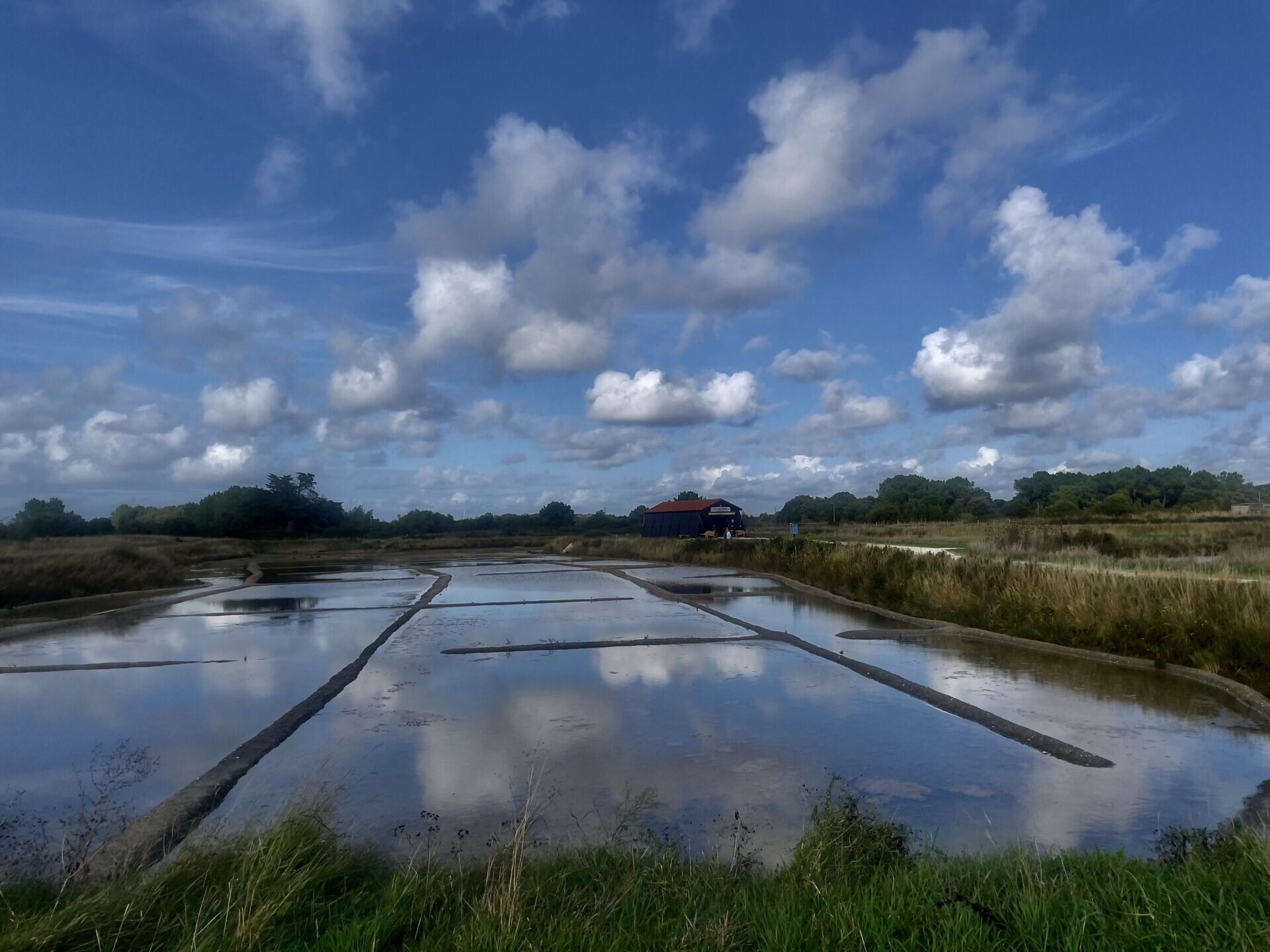 Oléron, l'île des savoir-faire/www.aufildeslieux.fr/ Marais salant du Port des Salines-Photo © K.HIBBS