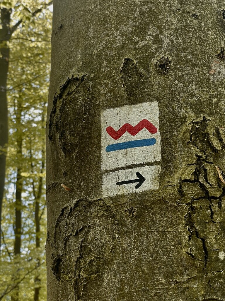 La Ruhr, entre nature et patrimoine industriel/www.aufildeslieux.fr/ Marquage de randonnée le long de la Ruhr © K.HIBBS