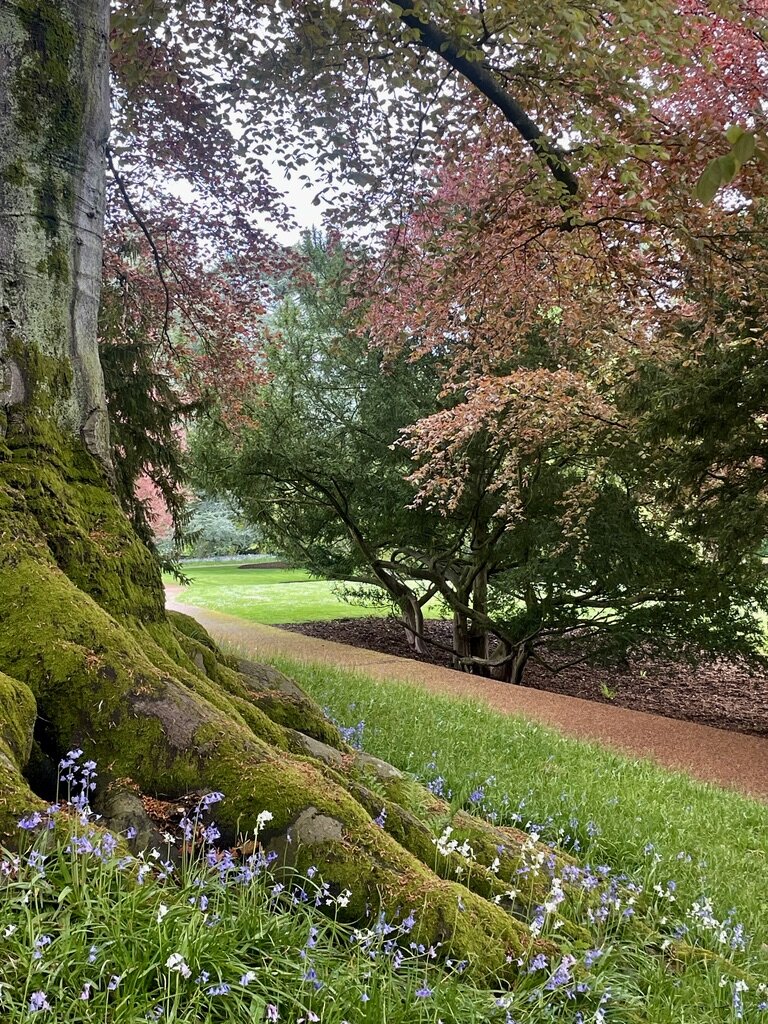 La Ruhr, entre nature et patrimoine industriel/www.aufildeslieux.fr/Dans le parc de la Villa Hügel © K.HIBBS