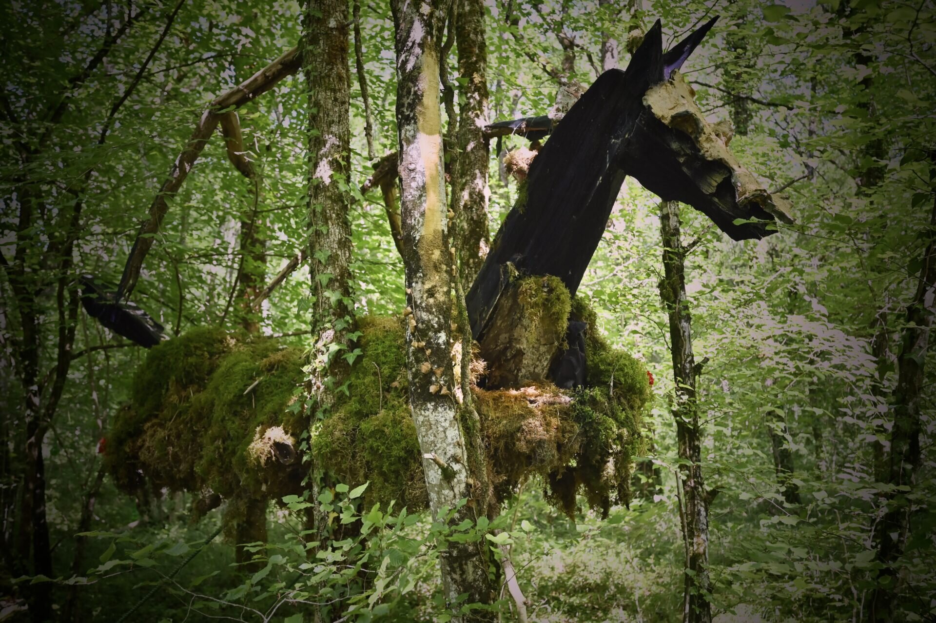 Le Tonnerois, l'autre trésor de l'Yonne/www.aufildeslieux.fr/ La fougue d'un cheval par Alain Bresson © K.HIBBS