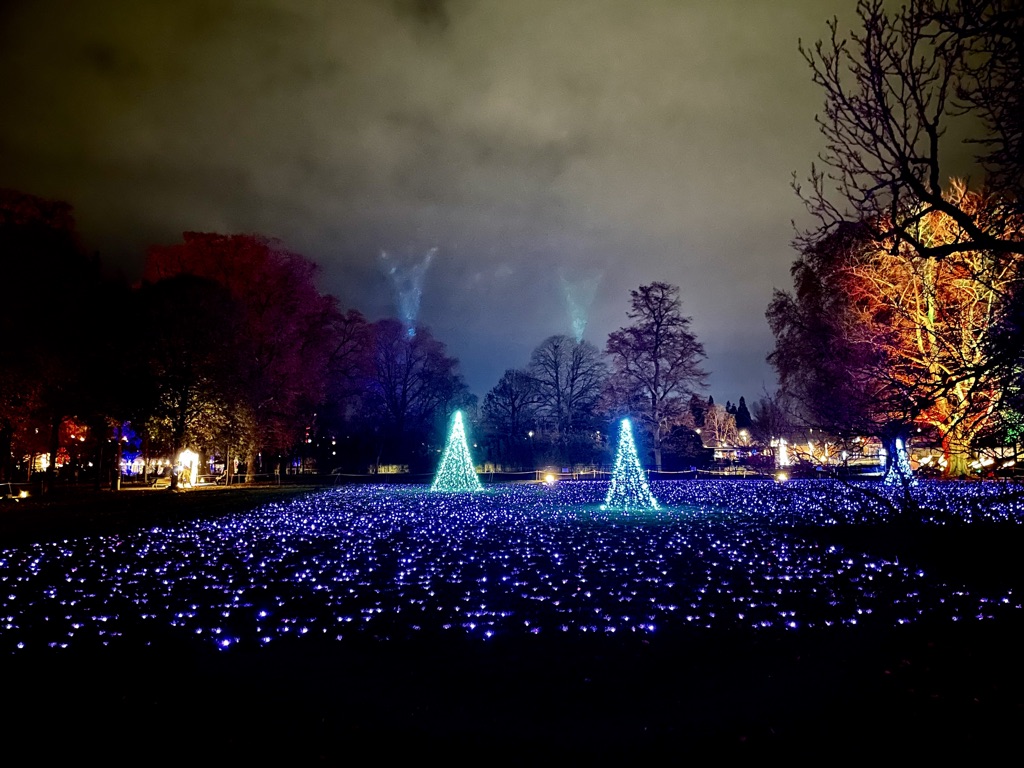 Rêver de Noël à Stuttgart et Fribourg/aufildeslieux.fr/ Champs de sapins illuminés dans le jardin botanique de Stuttgart © K.HIBBS 