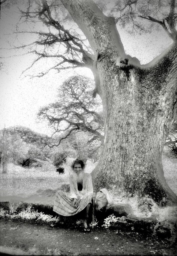 La plus belle larme de Bouddha/www.aufildeslieux.fr/ Un sage au pied d'un arbre séculaire - Photo © K.HIBBS