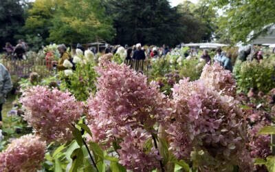 Fête des plantes au château de St-Jean de Beauregard