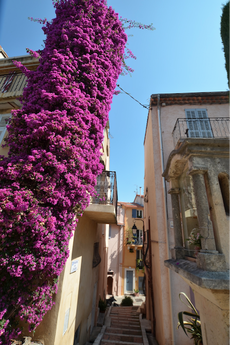 Cannes et l'archipel de Lérins:vieux quartier du Suquet: aufildeslieux.fr©K.Hibbs