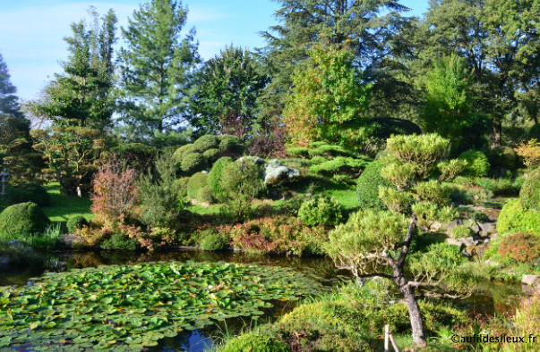 Jardin extraordinaire : un écrin zen dans la Drôme - Le Parisien