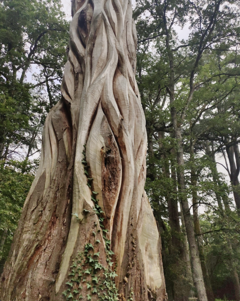  Au pays du Prince Jardinier-aufildeslieux.fr-sequoia sculpté©K.HIBBS