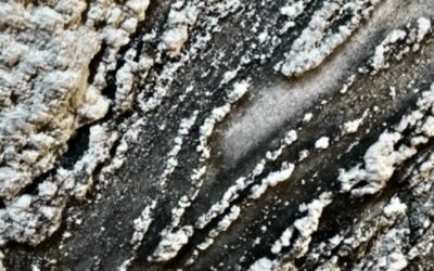 La mine de sel de Wieliczka,  véritable voyage dans les entrailles de la terre