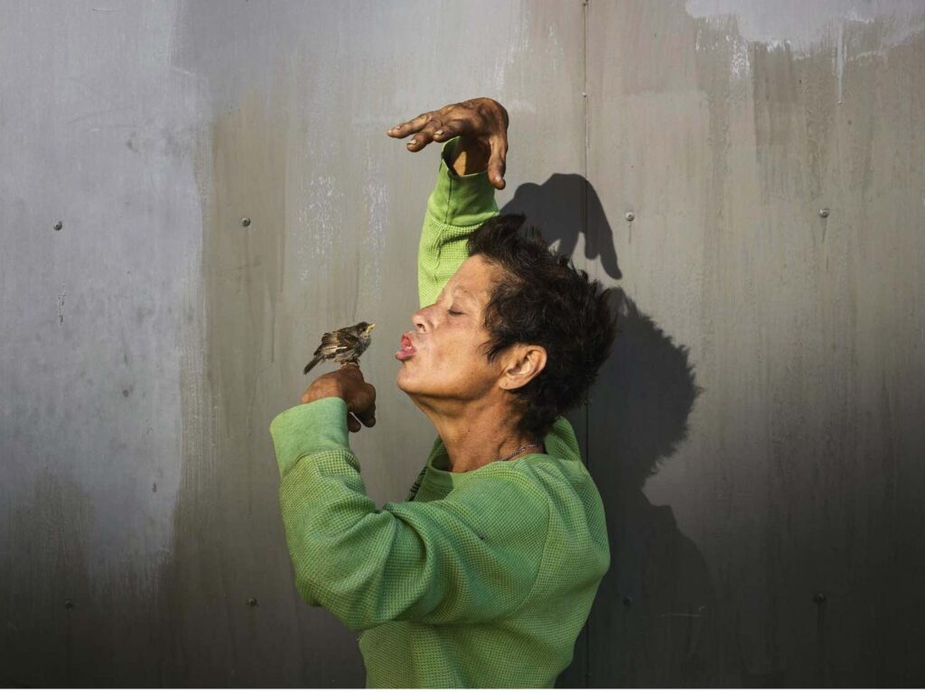 27è édition de Paris Photo/www.aufildeslieux.fr/ Série Californian wildflowers (2014-2015) © Pieter Hugo- Photo © K.HIBBS