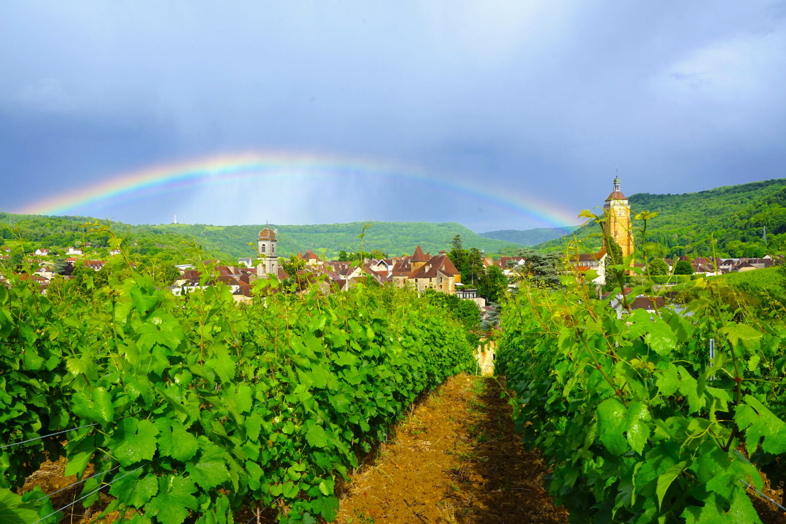 Arbois, dans les pas de Louis Pasteur/www.aufildeslieux.fr/Vue sur les vignes et l'église St Just à Arbois sous un arc en ciel -Photo© P.Bruniaux