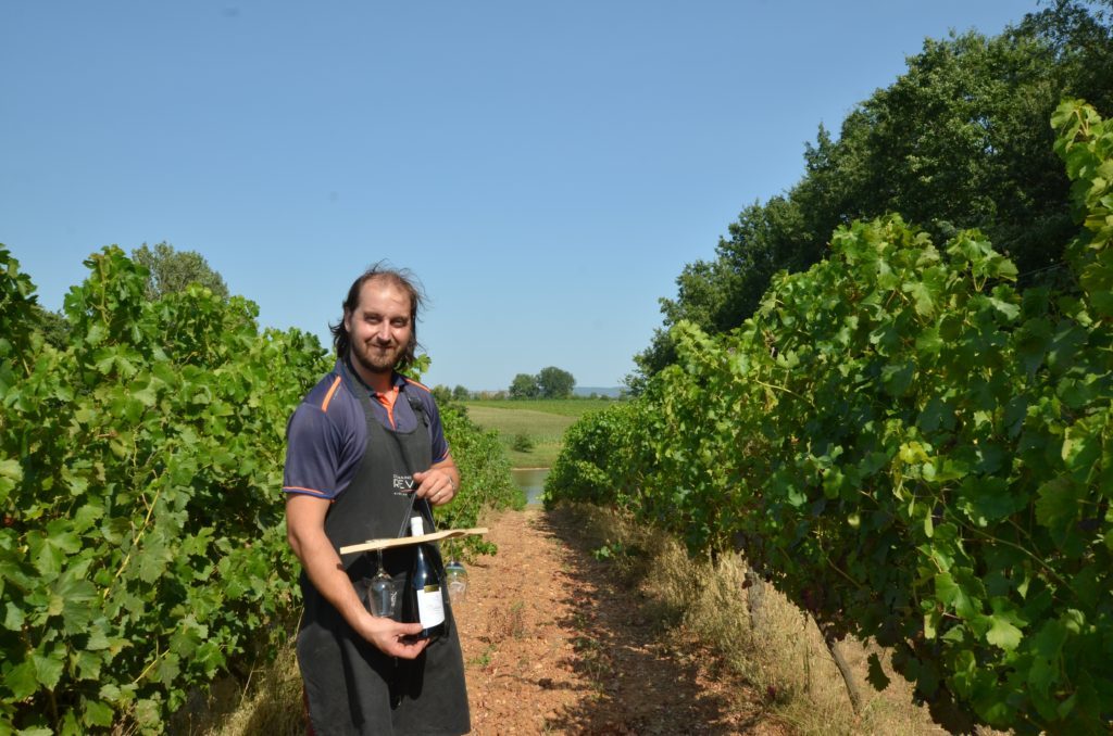 Rencontre avec Mickaël Raynal au Domaine de Revel /aufildeslieux/ Portrait de Mickaël Raynal, viticulteur _DR K.Hibbs 
