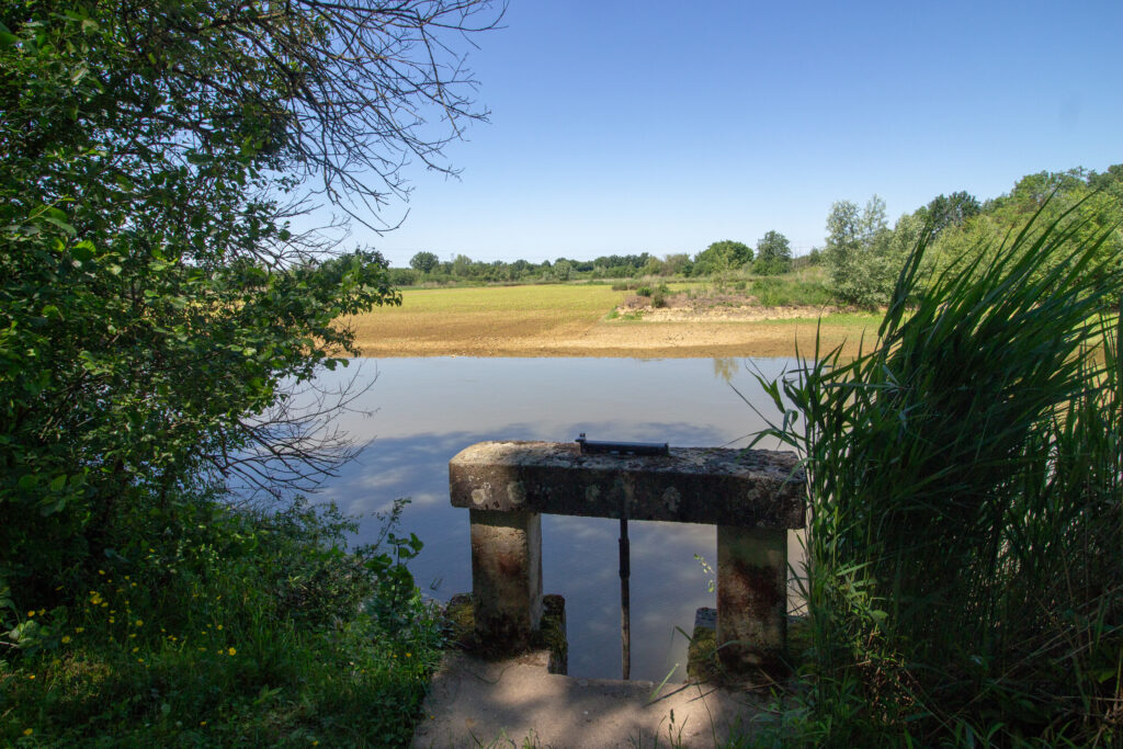 La Dombes aux mille étangs/www.aufildeslieux.fr/ Vue sur un thou et étang de la Dombes © Photo Dombes Tourisme