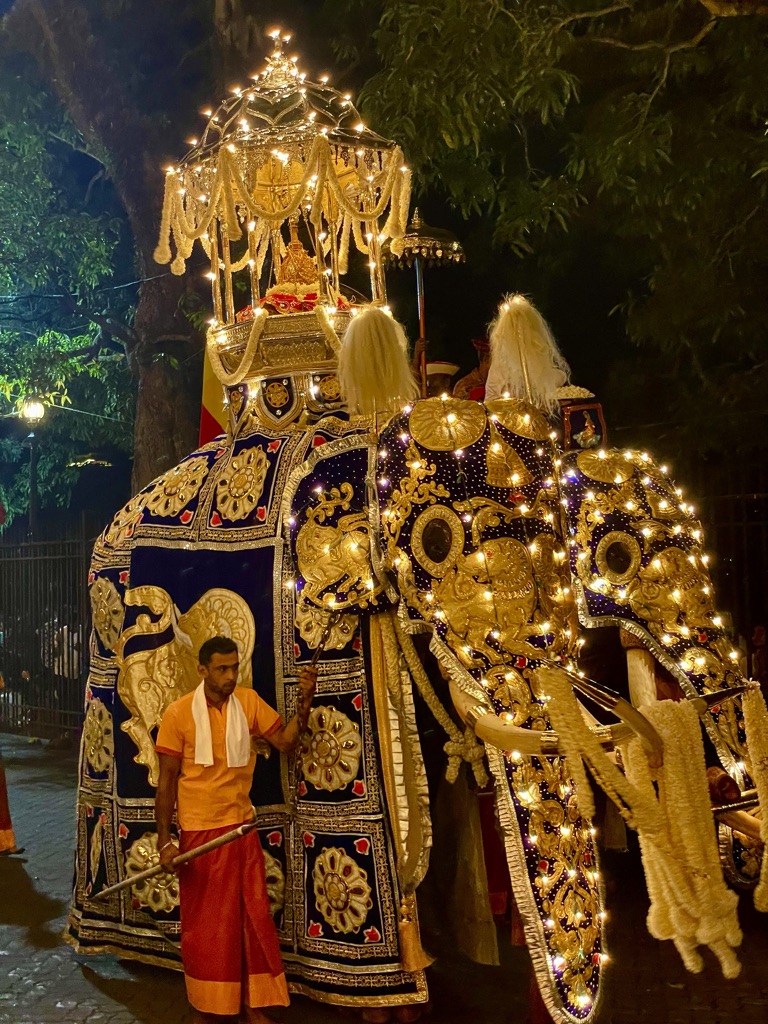 La plus belle larme de Bouddha/www.aufildeslieux.fr/ Éléphant tusker Raja portant le coffret d'une réplique de la Dent de Bouddah - Photo © K.HIBBS