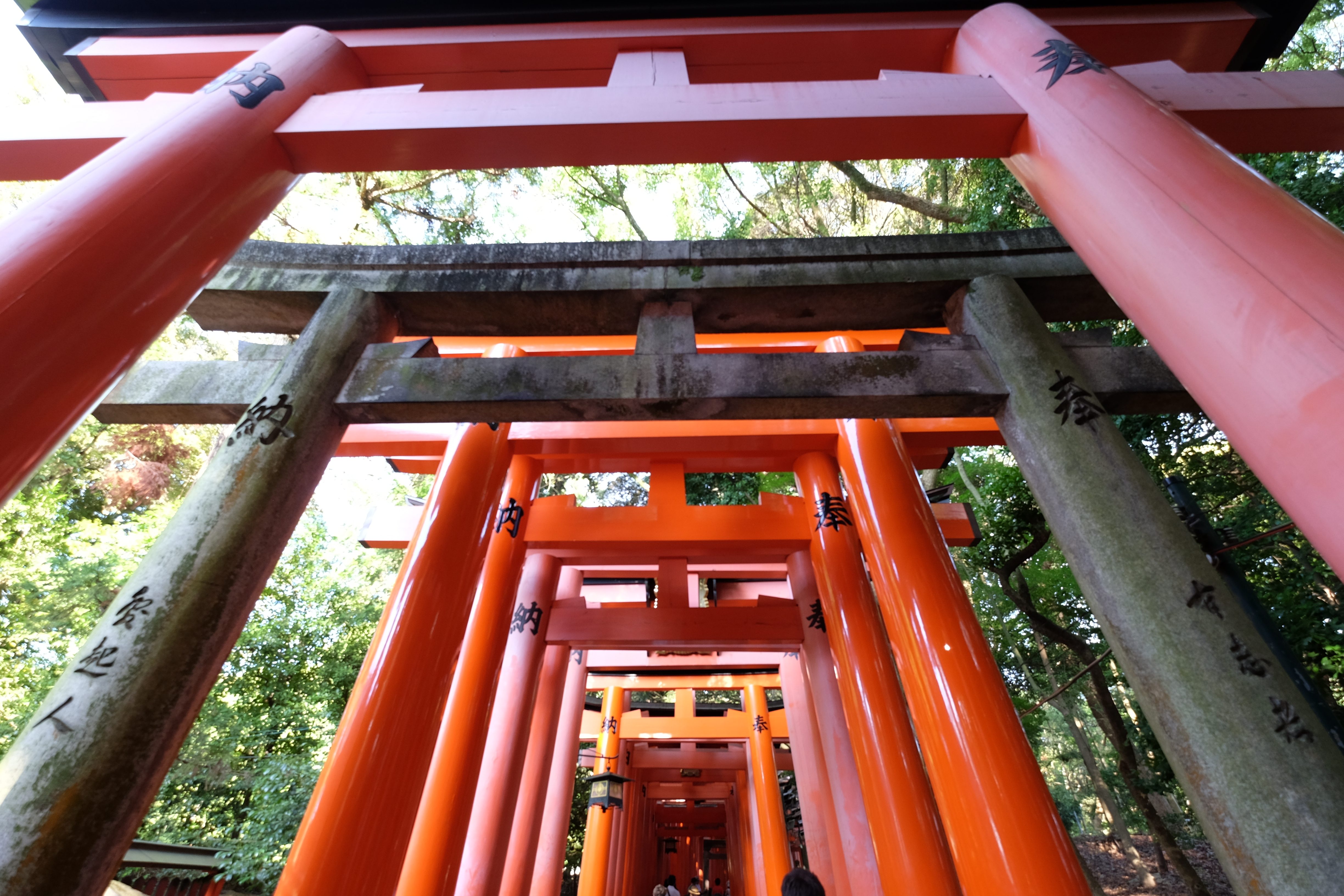 Japon contradictions/aufildeslieux.fr/ Fushimi-Inari temple à Kyoto ©Katherine HIBBS