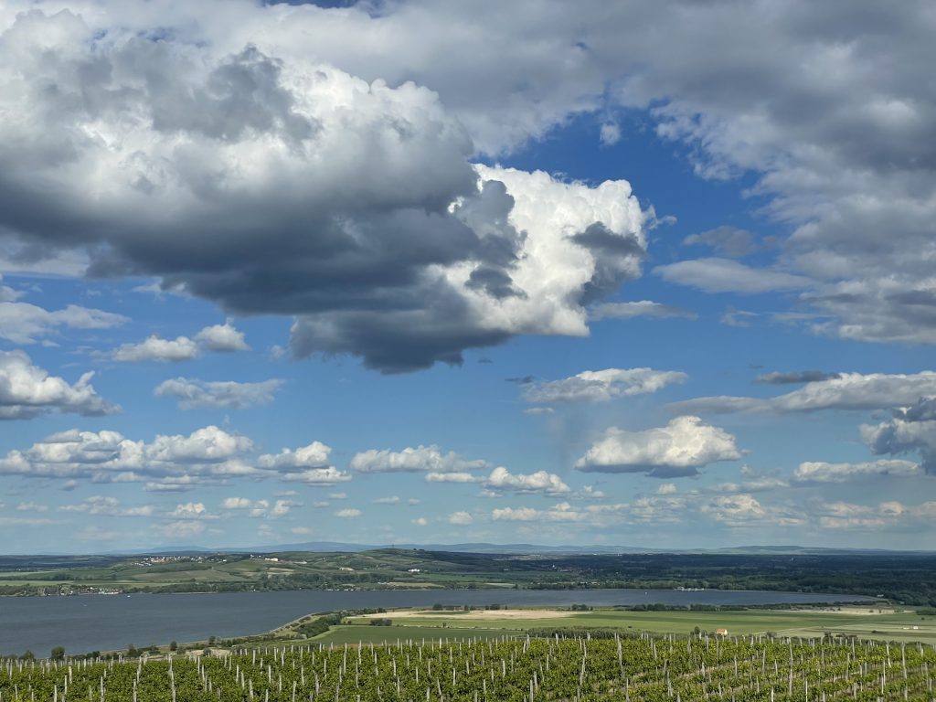  La route des vins en Moravie du sud-2ème partie/aufildeslieux.fr/Les vignes de Reisten © K.Hibbs