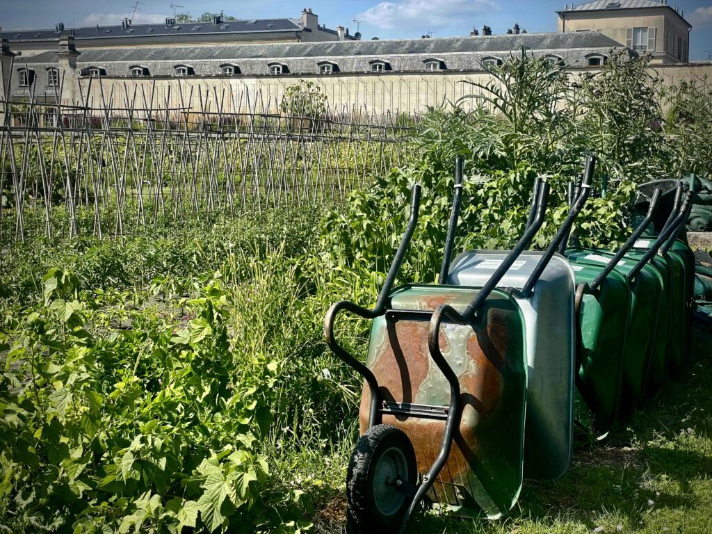 Le Potager du Roi/www.aufildeslieux.fr/ Au cœur du potager © K.HIBBS