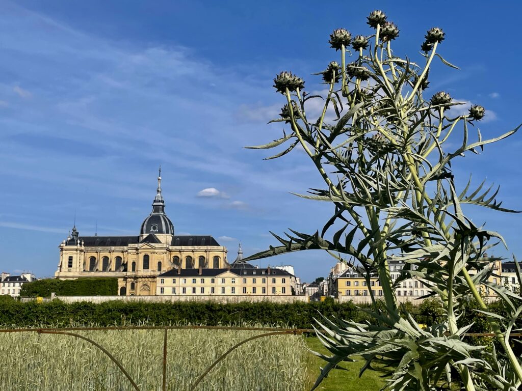 Le Potager du Roi/www.aufildeslieux.fr/ Une vue sur l'église Saint-Louis depuis le Potager du Roi© K.HIBBS