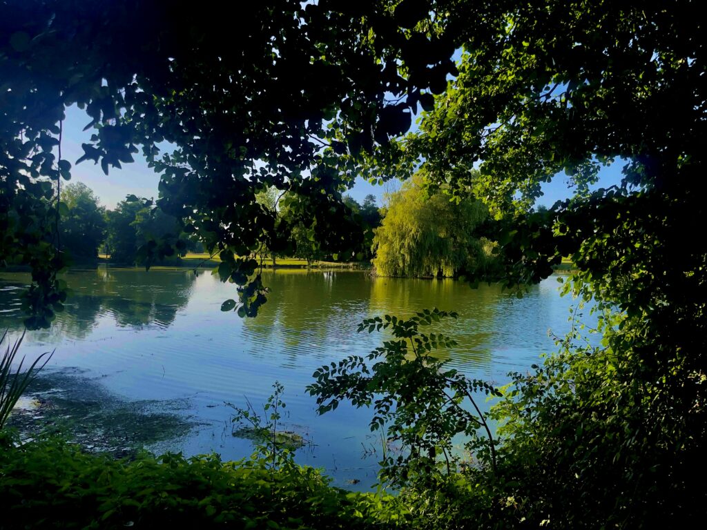 La Dombes aux mille étangs/www.aufildeslieux.fr/Un étang au Domaine du Gouverneur © Photo K.HIBBS