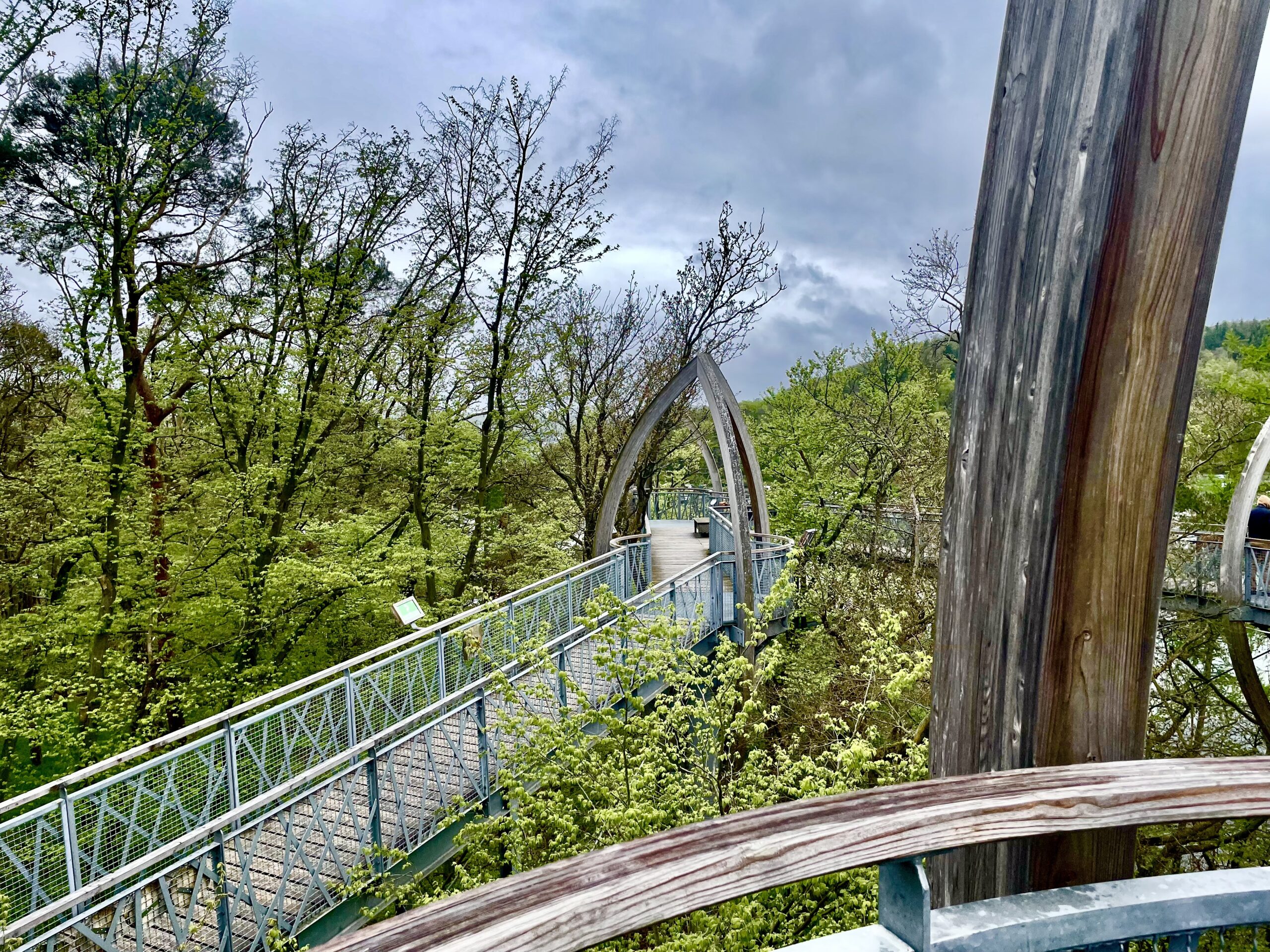  Le parc national de Kellerwald-Edersee/www.aufildeslieux.fr/Vue sur la canopée dans le parc national Kellerwald-Edersee-Photo © K.HIBBS