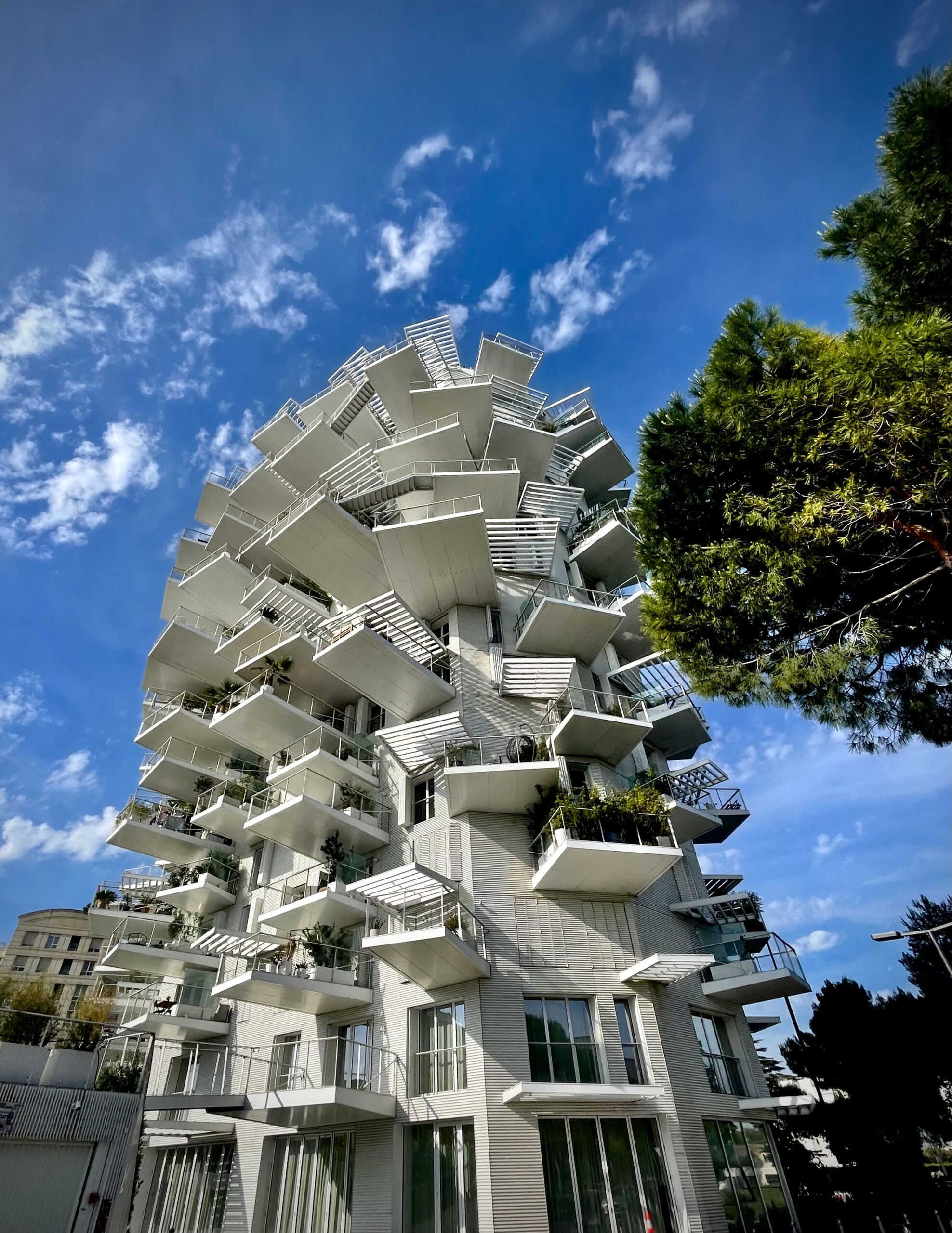  Montpellier, la belle languedocienne-www.aufildeslieux.fr-l'Arbre blanc de Sou Fugimoto © K.HIBBS