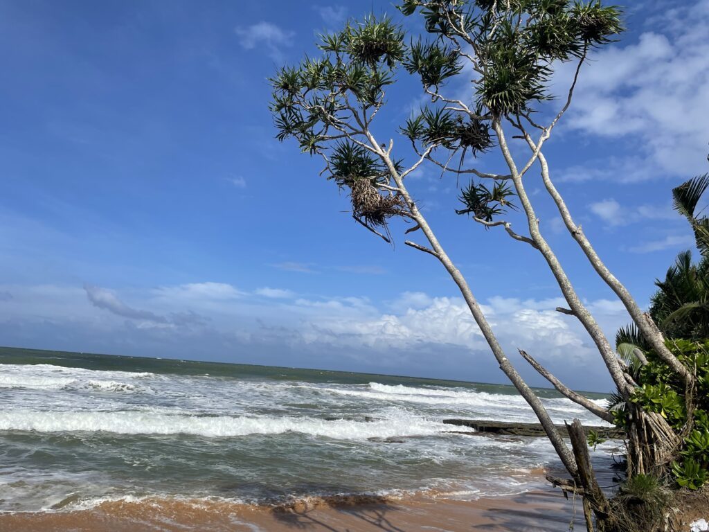 La plus belle larme de Bouddha/www.aufildeslieux.fr/ Plage à Kosgoda- Photo © K.HIBBS 