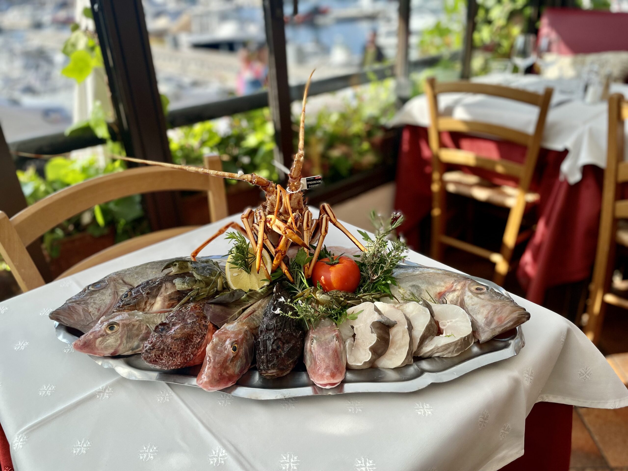  Cassis, charmant village au Pays des Calanques/www.aufildeslieux.fr/ Plateau de poissons pour la préparation d'une bourride © Photo Elsa HIBBS