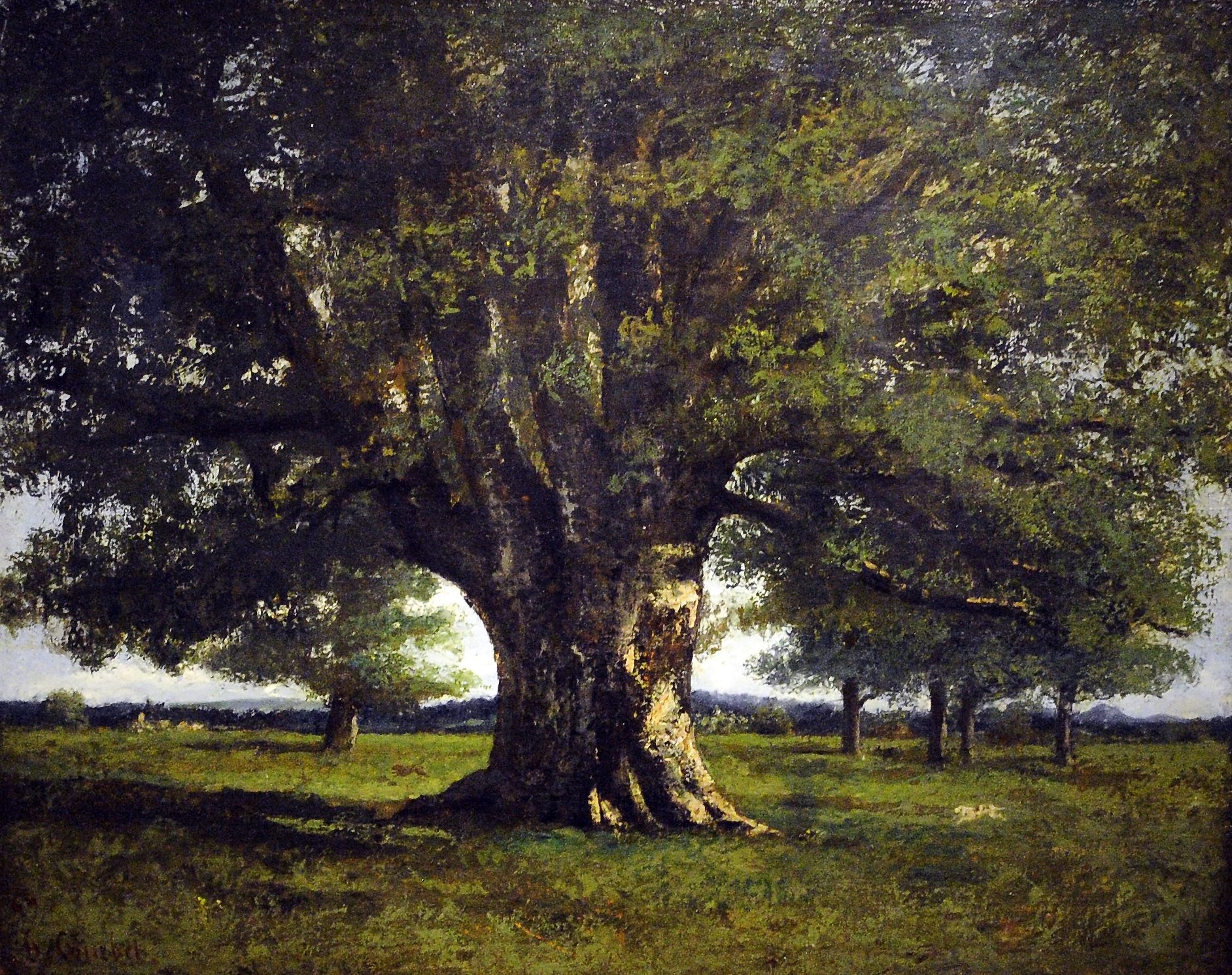Le chêne de Flagey ©CRTFC - Musée Courbet
