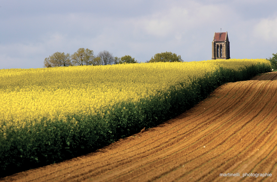 Les champs d'Auvers-sur-Oise© Martinelli