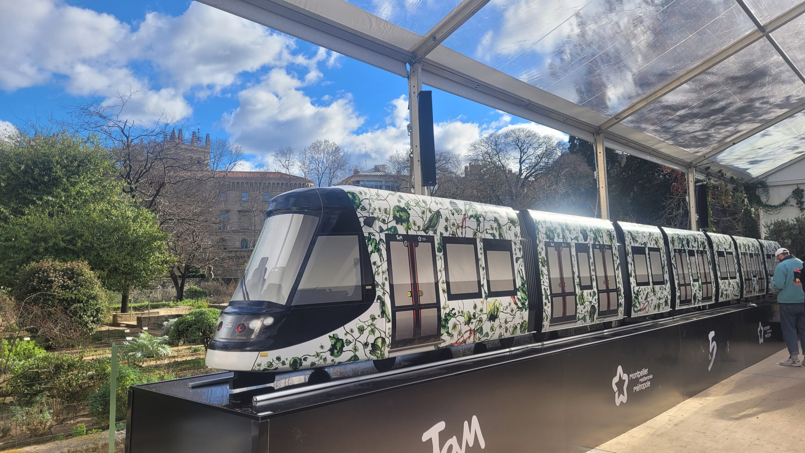  Montpellier, la belle languedocienne-www.aufildeslieux.fr-Le tramway" Feuille de vie" décoré par Barthélémy Toguo © OT Montpellier